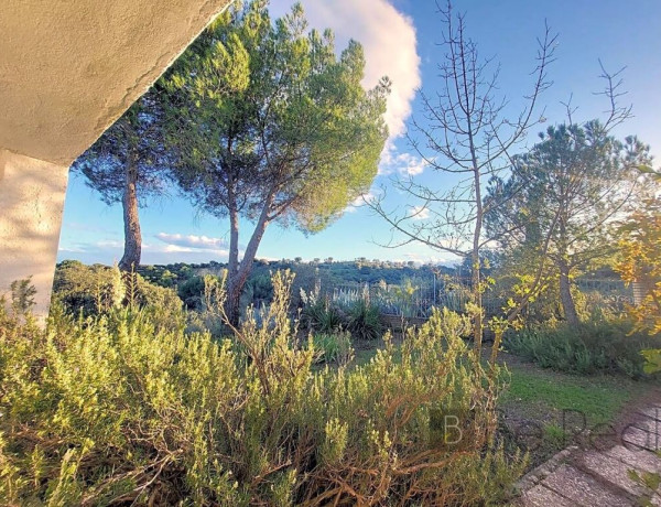 Plot For sell in Valdemorillo in Madrid 