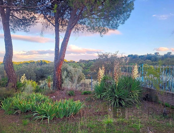 Plot For sell in Valdemorillo in Madrid 