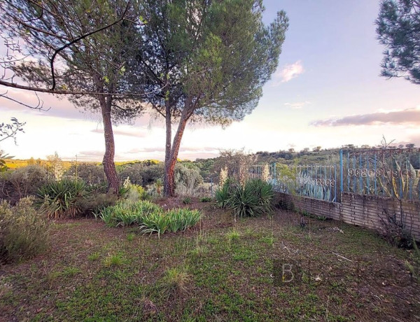 Plot For sell in Valdemorillo in Madrid 