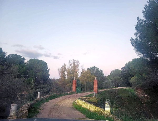 Plot For sell in Valdemorillo in Madrid 