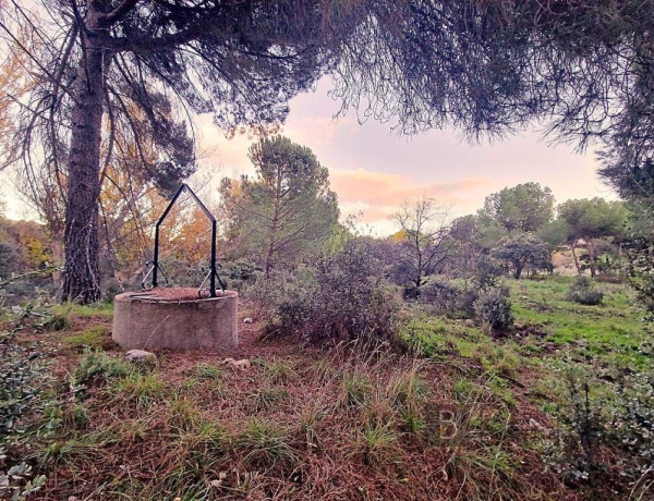 IMPRESIONANTE TERRENO DE 60 HECTÁREAS CON CASA RÚSTICA EN VALDEMORILLO, MADRID.