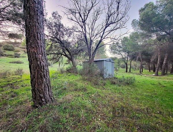 Plot For sell in Valdemorillo in Madrid 