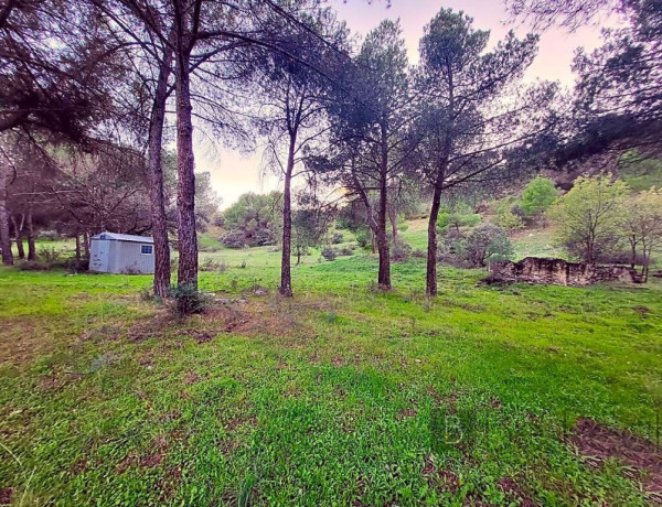 Plot For sell in Valdemorillo in Madrid 