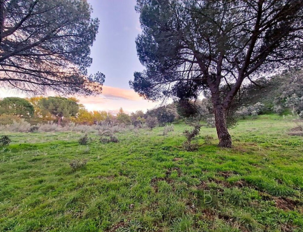 Plot For sell in Valdemorillo in Madrid 