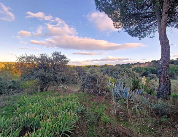 Plot For sell in Valdemorillo in Madrid 