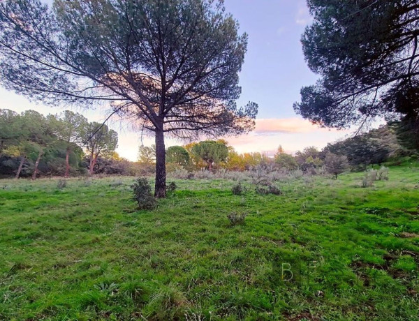 Plot For sell in Valdemorillo in Madrid 