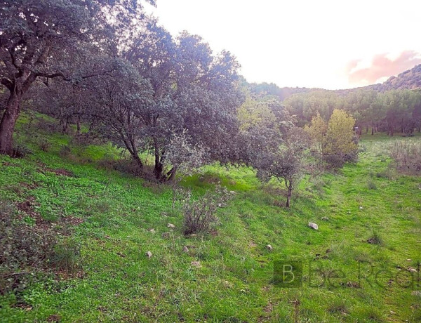 Plot For sell in Valdemorillo in Madrid 