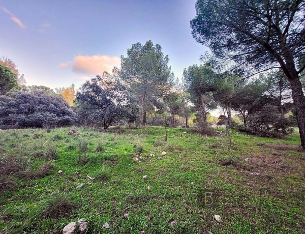 Plot For sell in Valdemorillo in Madrid 