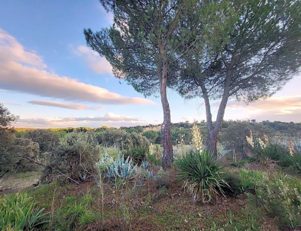 IMPRESIONANTE TERRENO DE 60 HECTÁREAS CON CASA RÚSTICA EN VALDEMORILLO, MADRID.