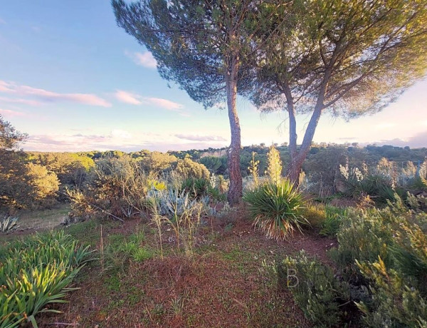 IMPRESIONANTE TERRENO DE 60 HECTÁREAS CON CASA RÚSTICA EN VALDEMORILLO, MADRID.