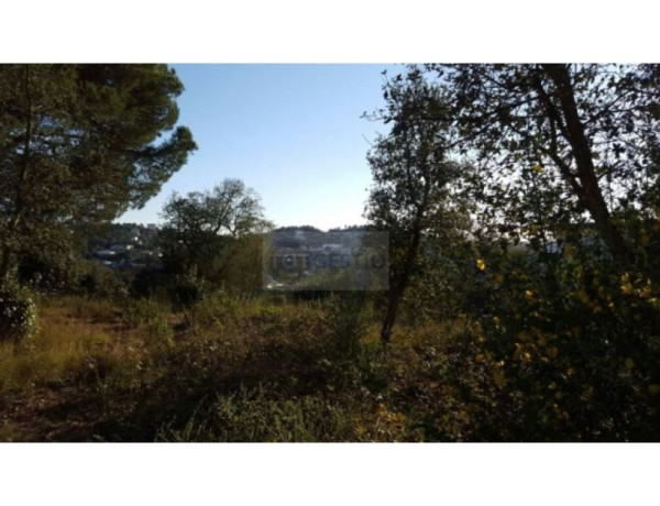 Residential land For sell in Lloret De Mar in Girona 