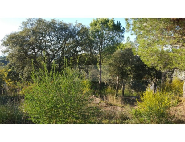 Residential land For sell in Lloret De Mar in Girona 