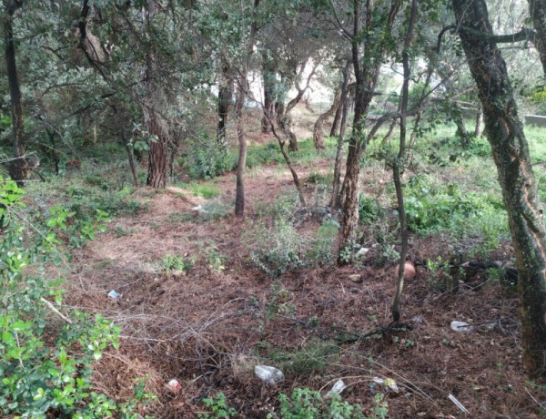 Residential land For sell in Calonge in Girona 