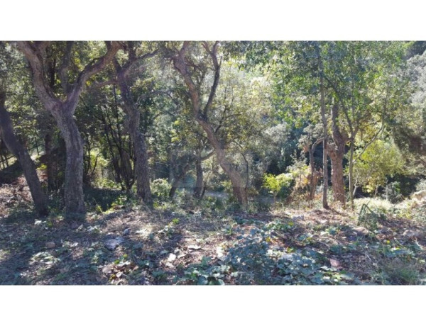 Residential land For sell in Tossa De Mar in Girona 