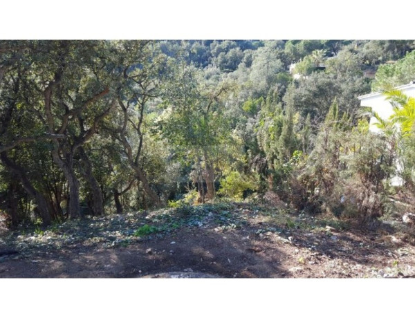 Residential land For sell in Tossa De Mar in Girona 