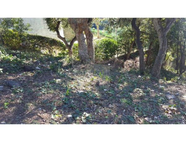 Residential land For sell in Tossa De Mar in Girona 