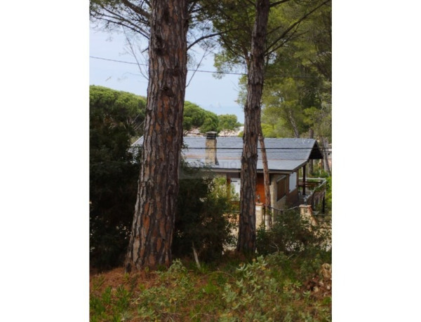 Residential land For sell in Pals in Girona 