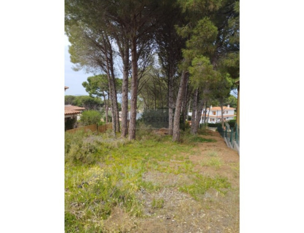 Residential land For sell in Pals in Girona 