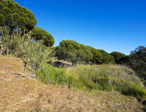 Residential land For sell in Castell Platja D Aro in Girona 