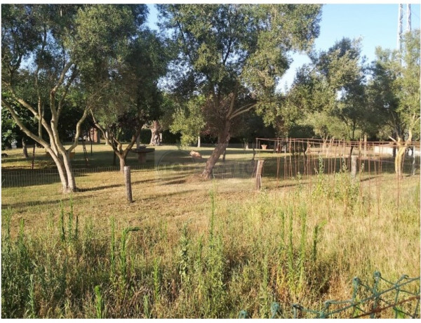 Country house For sell in Llagostera in Girona 