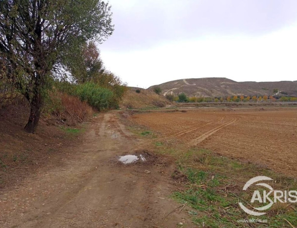 TERRENO RUSTICO EN CIEMPOZUELOS