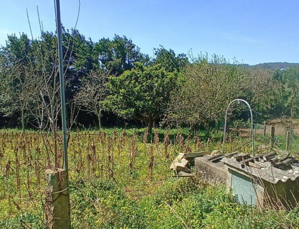 Casa de 2 plantas con terreno