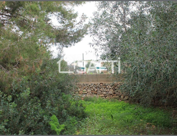 Amplio terreno agrario con pozo propio y mucha vegetacion, a pocos minutos de la playa