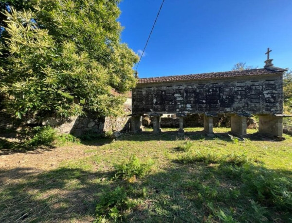 CASA TRADICIONAL GALLEGA, con ,más de 7.000 m2 de terreno urbano!