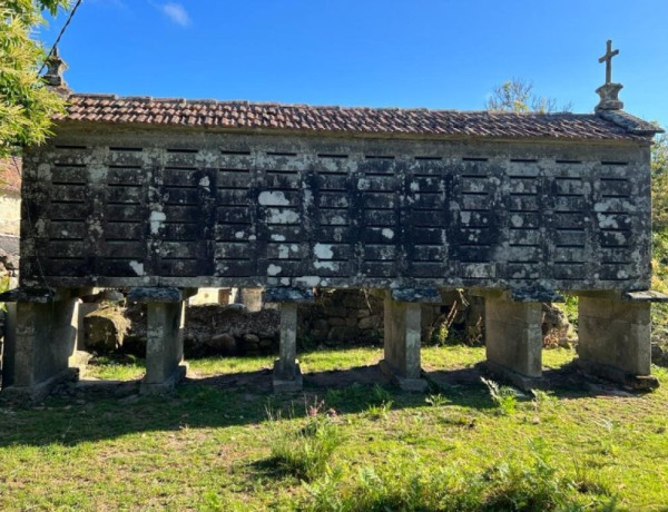 CASA TRADICIONAL GALLEGA, con ,más de 7.000 m2 de terreno urbano!