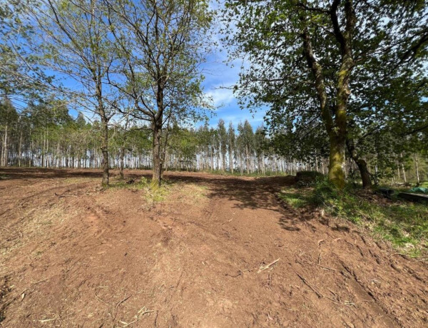 TERRENO DE 5340 M2, CON PROYECTO DE CASA INCLUIDO EN O PINO