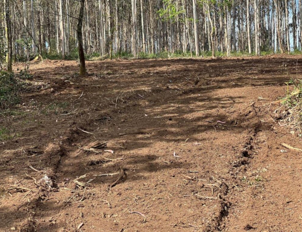 TERRENO DE 5340 M2, CON PROYECTO DE CASA INCLUIDO EN O PINO