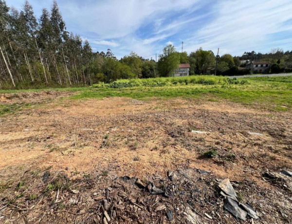 TERRENO DE 5340 M2, CON PROYECTO DE CASA INCLUIDO EN O PINO