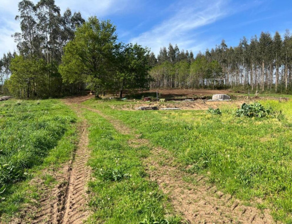 TERRENO DE 5340 M2, CON PROYECTO DE CASA INCLUIDO EN O PINO