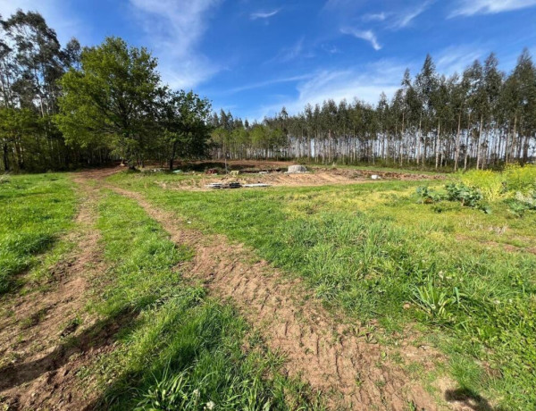 TERRENO DE 5340 M2, CON PROYECTO DE CASA INCLUIDO EN O PINO