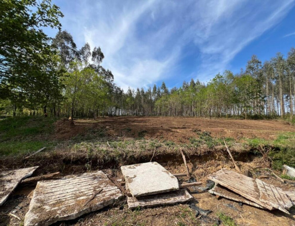 TERRENO DE 5340 M2, CON PROYECTO DE CASA INCLUIDO EN O PINO