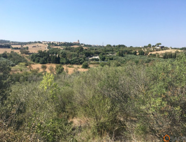 Terreno CON proyecto básico para construir en Muro