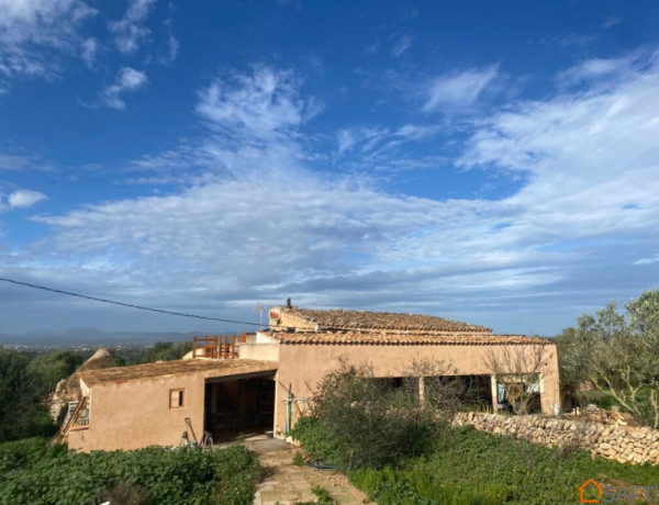 Country house For sell in Campos in Baleares 