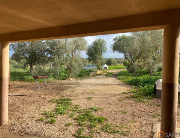 Casa en el campo entre Santanyí y Campos con vistas.