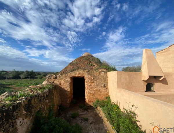 Casa en el campo entre Santanyí y Campos con vistas.