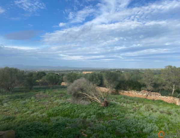 Country house For sell in Campos in Baleares 