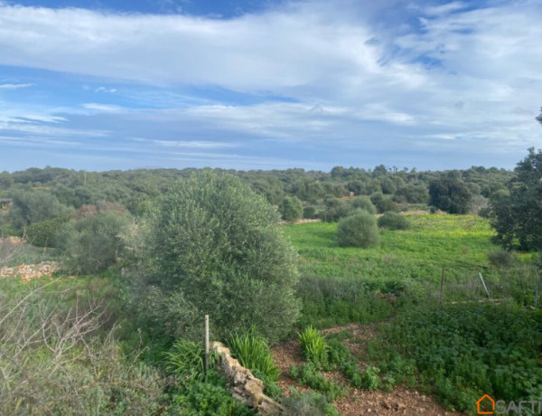 Country house For sell in Campos in Baleares 