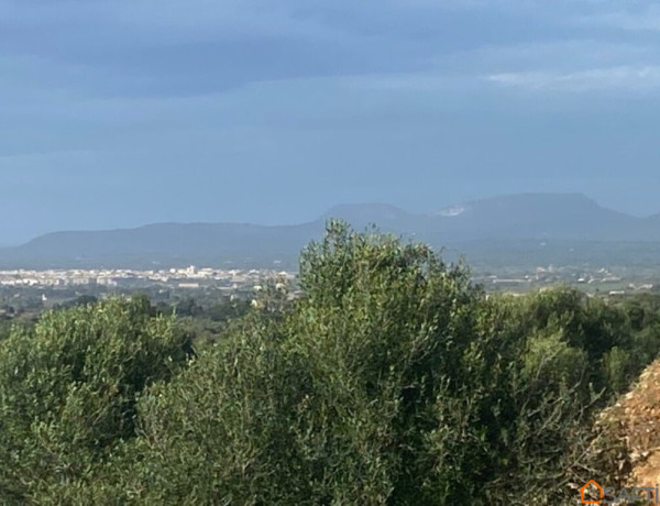 Casa en el campo entre Santanyí y Campos con vistas.