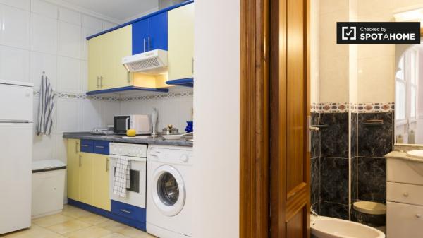 Grande chambre dans la maison de 3 chambres à Casco Viejo, Bilbao