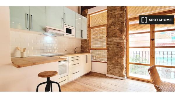Apartamento entero de 1 dormitorio en València