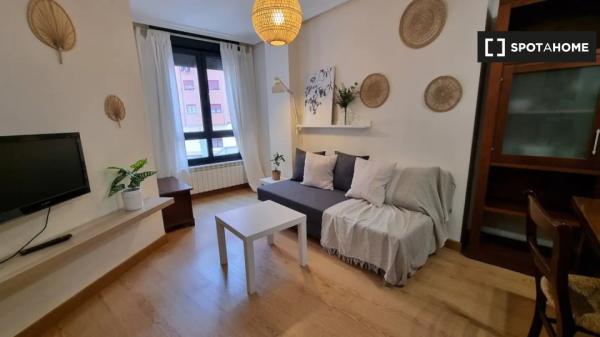 Piso de 1 dormitorio en alquiler en Oviedo, Oviedo