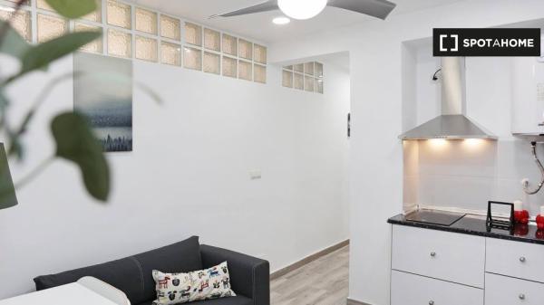 Piso de 1 dormitorio en alquiler en Huelin, Málaga