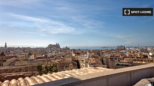 Piso completo de 3 dormitorios en Palma