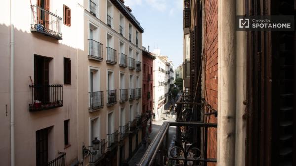 Apartamento de 2 dormitorios en alquiler en Madrid