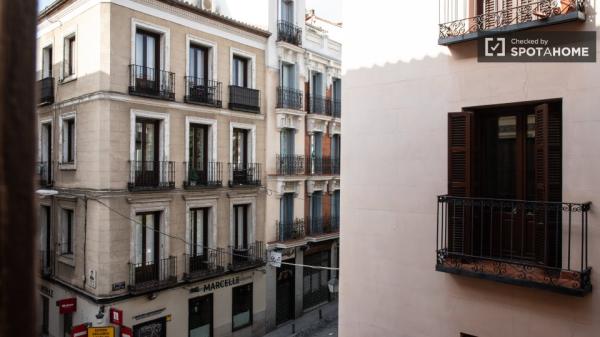 Apartamento de 2 dormitorios en alquiler en Madrid