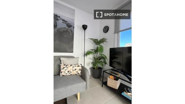 Apartamento completo de 2 dormitorios en Santa Cruz de Tenerife